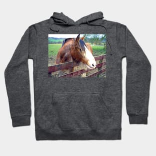 Clydesdale II Hoodie